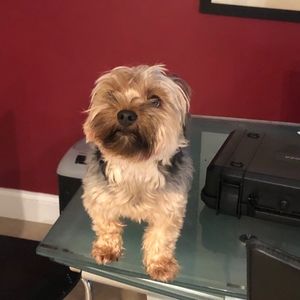 Meet your Posher, Joseph